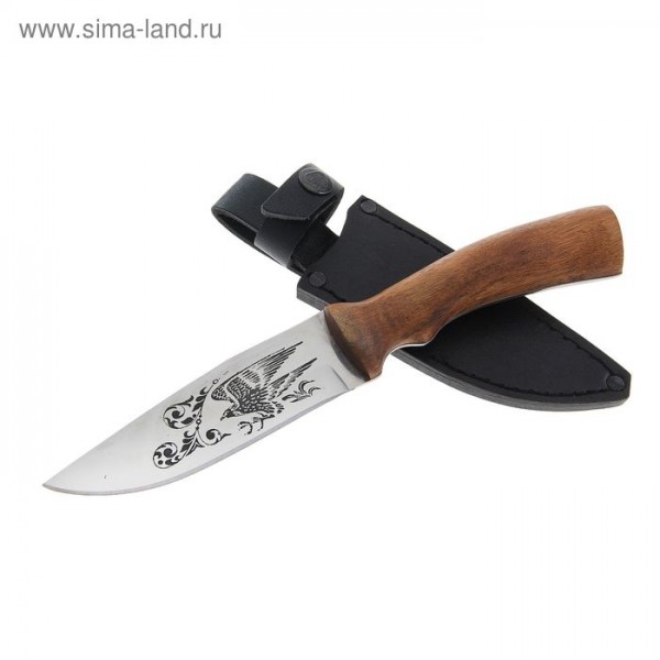 Нож "Сокол" рукоять-дерево, сталь 65*13